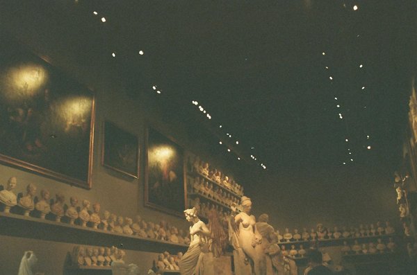 L'ethnobotanique : les trésors des plantes médicinales oubliées